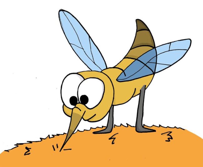 thepets_leishmaniosis7